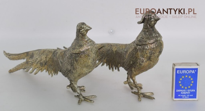 srebrne bażanty srebrne bażanty